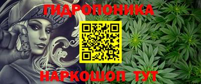 дмт Севастополь
