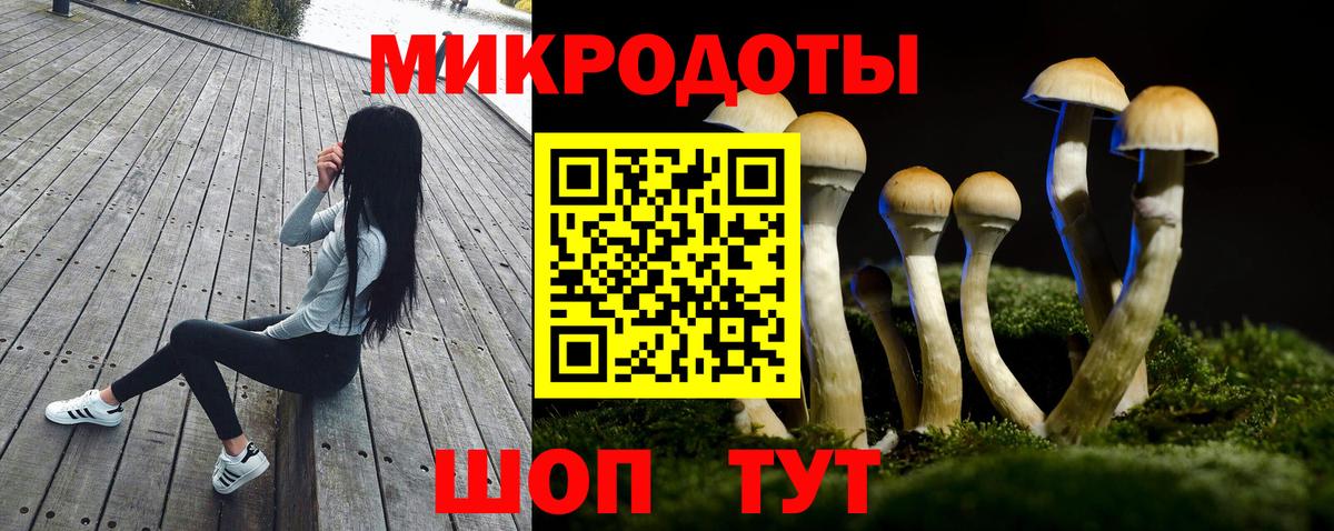 Псилоцибиновые грибы ЛСД  купить наркотик  Рассказово  Вход с VPN 